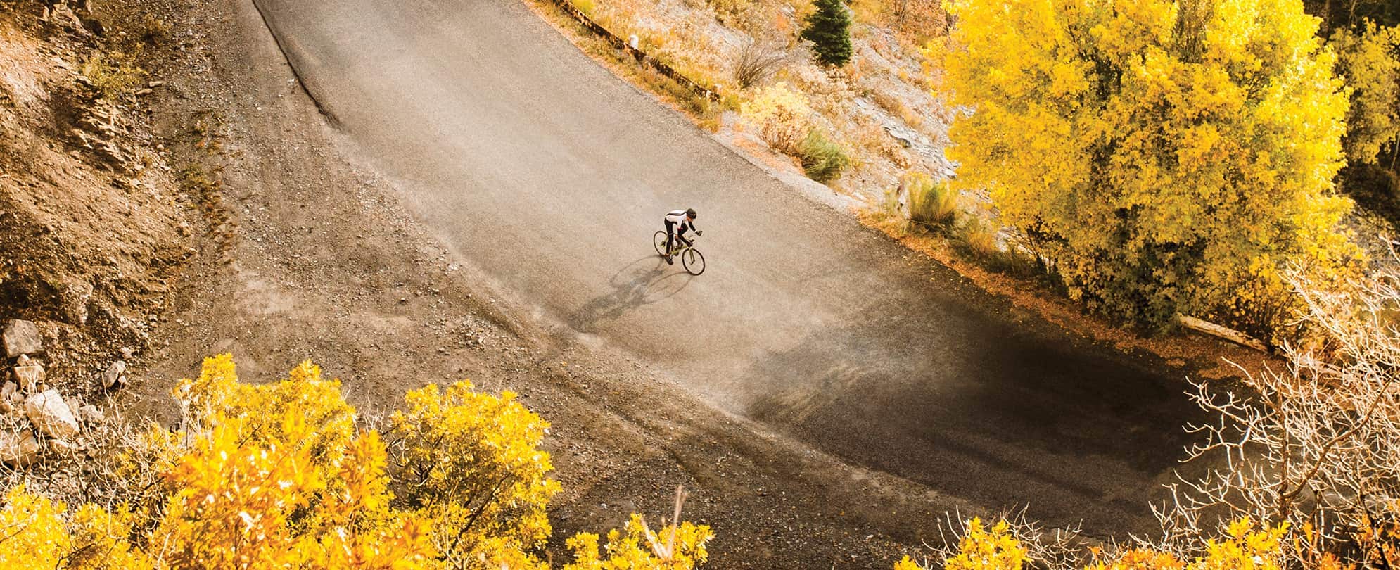 Biker riding down a paved path with lush fall trees